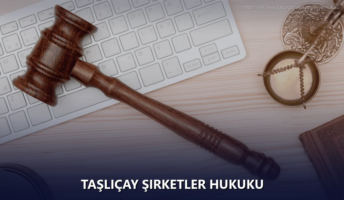 Taşliçay Şirketler Hukuku